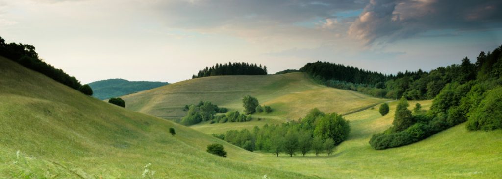 Services 03 1024x366 1