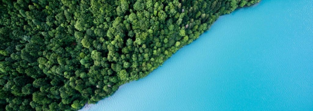 Services 04 1024x366 1