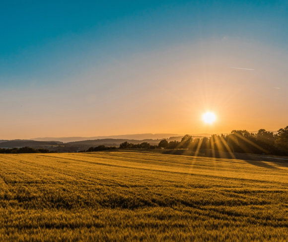 why-choose-us Why Choose Us